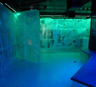Icebar
