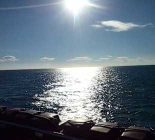 Hafenrundfahrt Schwerpunkt Insel Brioni