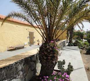 Casa Saturninita