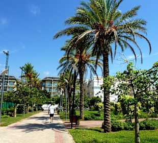 Park pred hotelom kahya