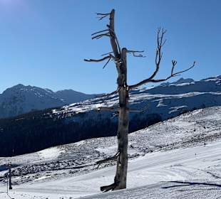 Skigebiet Schwemmalm