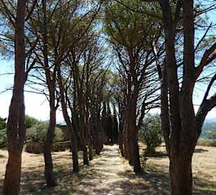 Lalissos, Panagia Filerimos