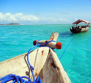 Island Mnemba