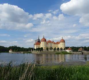 Schloss Moritzburg