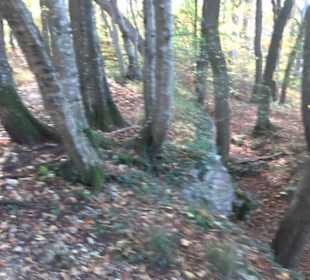 Höllenlöcher Hohenneuffen