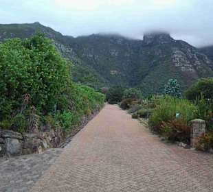 Botanischer Garten Kirstenbosch