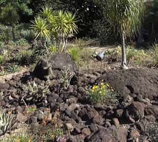 Wüstengarten - Berggarten
