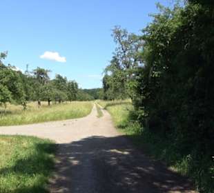 Eduard Lucas Musterobstgarten Mähringen