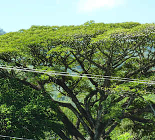 Berg und Tal Tour – Oktober 2014