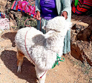 Wandern Isla del Sol