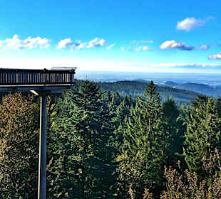 Waldwipfelweg - Nur 5 Gehminuten vom Hotel