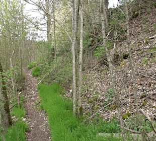 Eiszeitpfad - Burgfelsenpfad