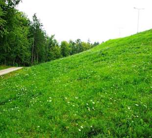 Das Oberbecken Happurger Stausee