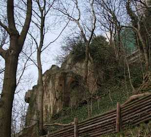 Blick auf den Felsenbereich