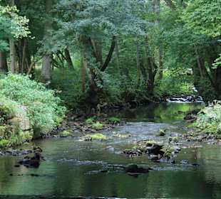 Wandern Philippsheim