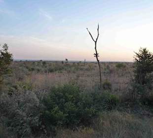 Krüger Nationalpark