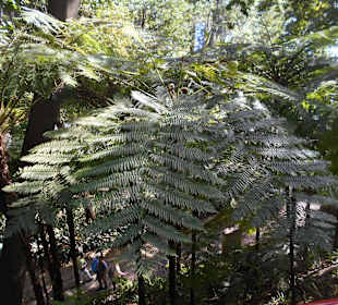 Monte Palace Tropical Garden