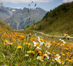 Wandern Sölden