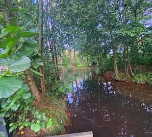 Wandern Burg (Spreewald)