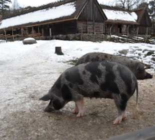 Freilichtmuseum Skansen