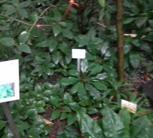 Tropicarium