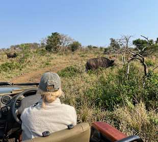 Zululand Rhino Reserve