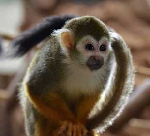 Unterwegs beim Ausflug