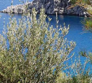 Strand Kargi Köyu