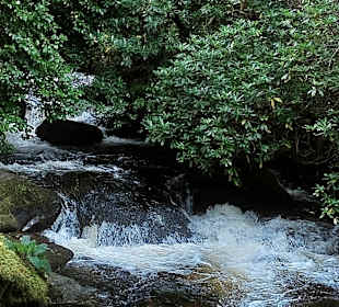 Beim Torc-Wasserfall im Killarney-Nationalpark