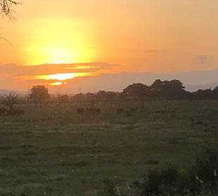 Sonnenuntergang im Tsavo Park