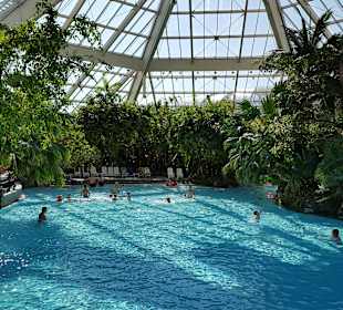 Center Parcs Bispinger Heide