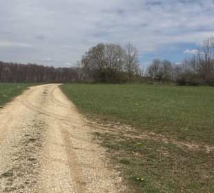 Vulkankrater-Rundweg Apfelstetten
