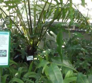 Botanischer Garten 