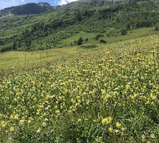 Wandern Prägraten am Großvenediger
