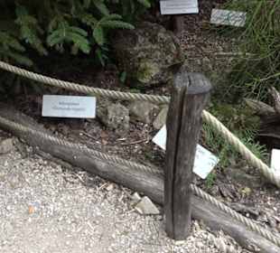 Dinosaurier Museum Altmühltal