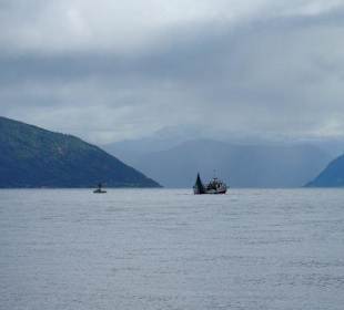 Blick auf den Fjord vom Hotel Kvikne