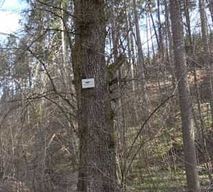 Geologischer Lehrpfad Kirnbachtal