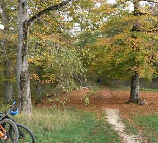 Wandertour "Rund um den Rossberg" Öschingen