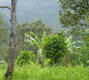 Wunderschöne Umgebung