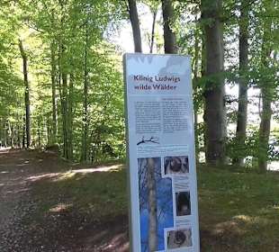 Rundwanderweg - Ottos Ruh