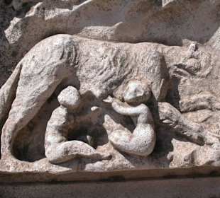 Dettagli degli ornamenti