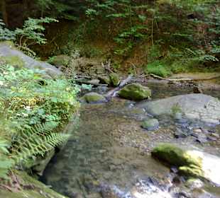 Kleine Luxemburger Schweiz bei Echternach
