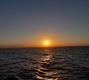 Ein Tag auf der Dreamlife - Delphintour Exklusiv