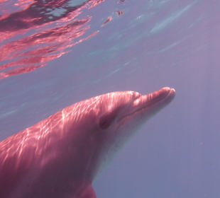 Herrlich diese Ruhe...