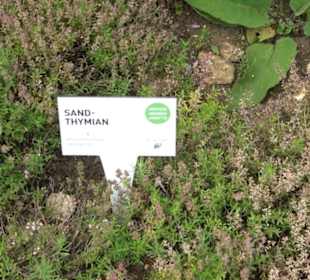 ALB-GOLD Naturgarten