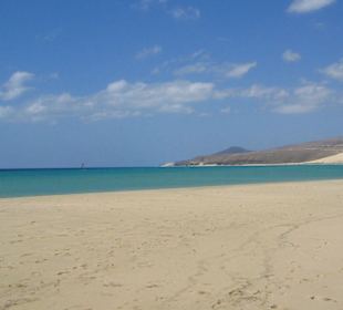 Strand (Costa Calma)