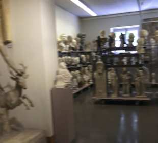 Archäologische Sammlung