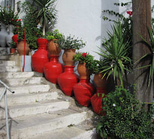 Spaziergang durch Plomari