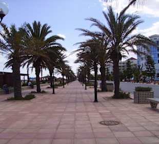 Il lungomare di hammamet jasmine