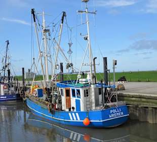 Impressionen aus dem Kutterhafen Wremen